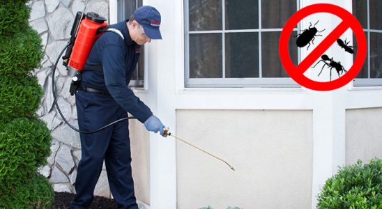 Balıklıova Dezenfeksiyon böcek ilaçlama ve haşere kontrolü — ilaclama-tr.com